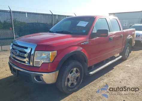2010 Ford F-150 Fx4/Harley-Davidson/King Ranch/Lariat/Platinum/Xl/Xlt z USA, uszkodzony, nr VIN 1FTFW1EV8AKE66977